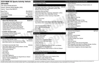 BMW X6 2020 sDrive40i 4p Sports Activity Coupe