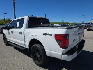 Ford F-150 2024 4x4 STX 4dr SuperCrew 5.5 ft. SB