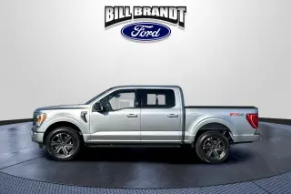Ford F-150 2023 4x4 XLT 4dr SuperCrew 6.5 ft. SB