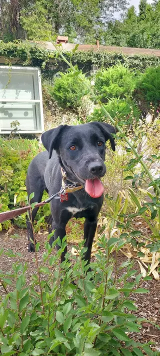 Tara