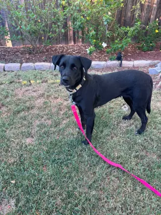 Tara