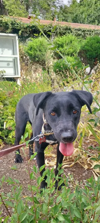 Tara