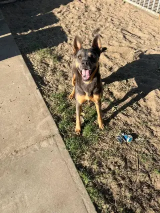 Luna