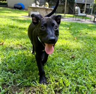 Xena
