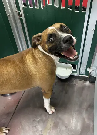 Tank