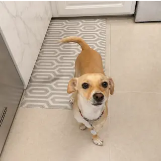 Len