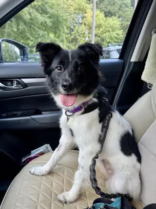Coco