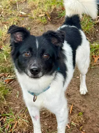 Coco