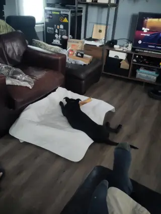 Gus
