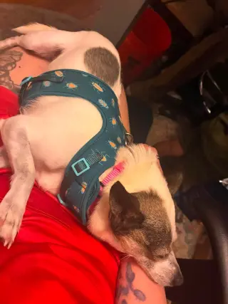 Peppa