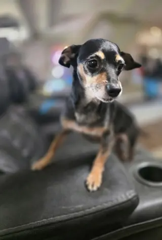 Just Jack