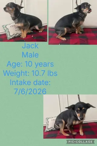 Just Jack