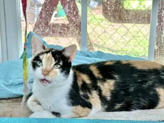 Gwen