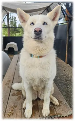 LUNA