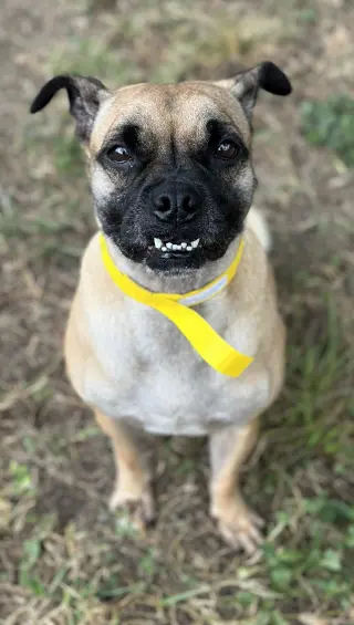 Chloe