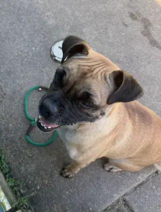 Chloe