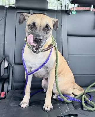 Chloe
