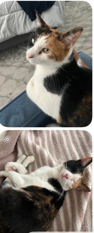 Lily (Courtesy Post)