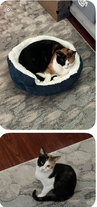Lily (Courtesy Post)