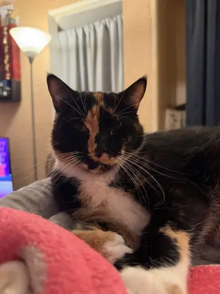 Reese