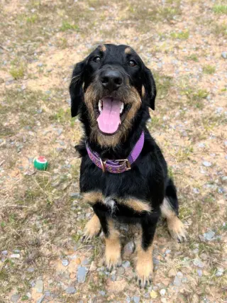 Bella