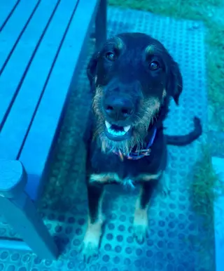 Bella