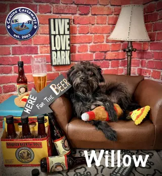 Willow
