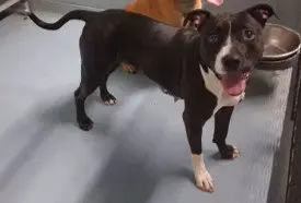 Maddie- Coming Soon!