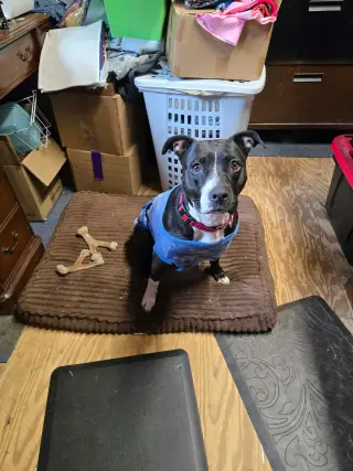 Maddie- Coming Soon!