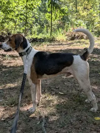 Mitchell: At shelter