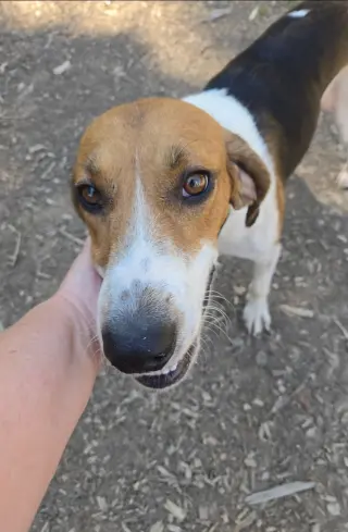 Mitchell: At shelter