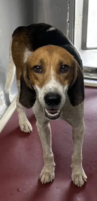 Mitchell: At shelter