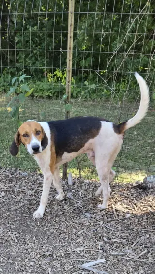 Mitchell: At shelter