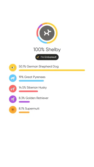 Shelby