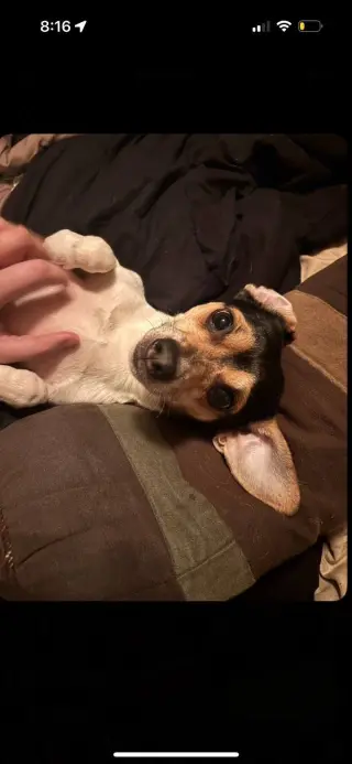 Bandit #2