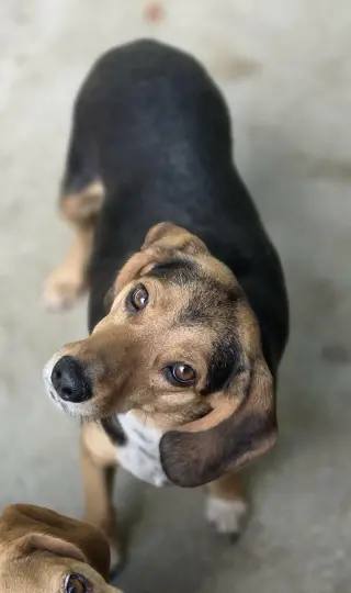 Edna