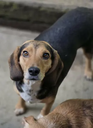 Edna