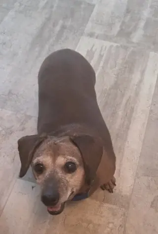 Lucy