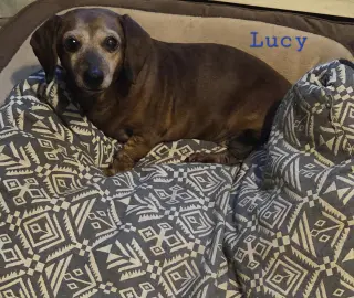 Lucy