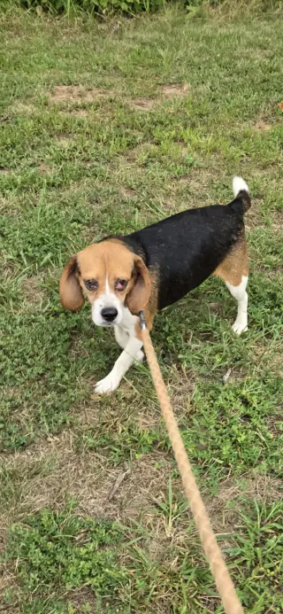 Squeak: Not at shelter (Kendra)