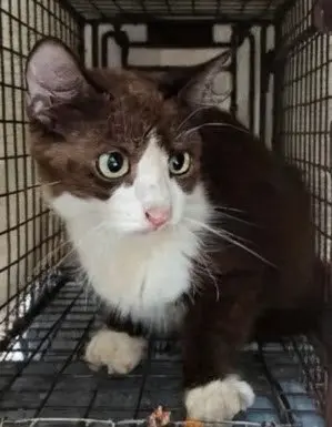 Suki 8.24.25 (med waiver)