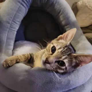 Timmy