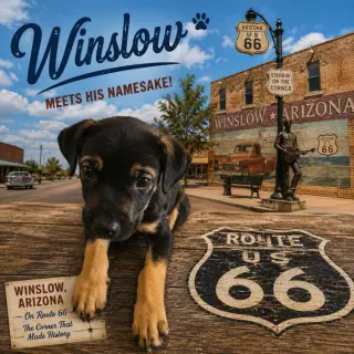 Winslow