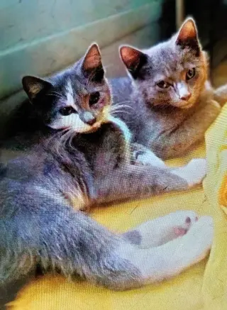 Violet & Edith