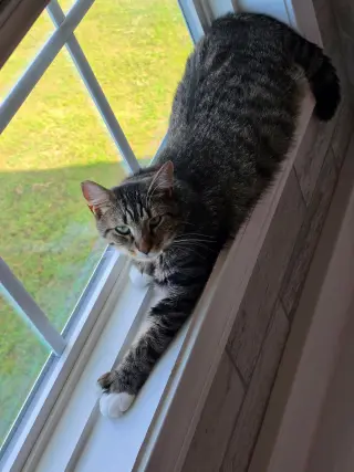 Janie