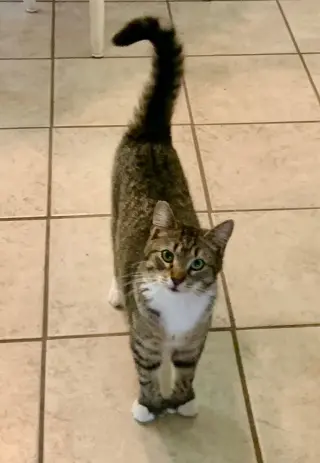 Janie