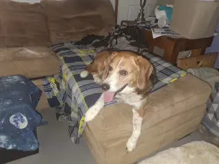 CHARLIE
