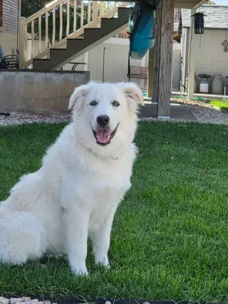 WIllow Mae