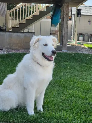 WIllow Mae