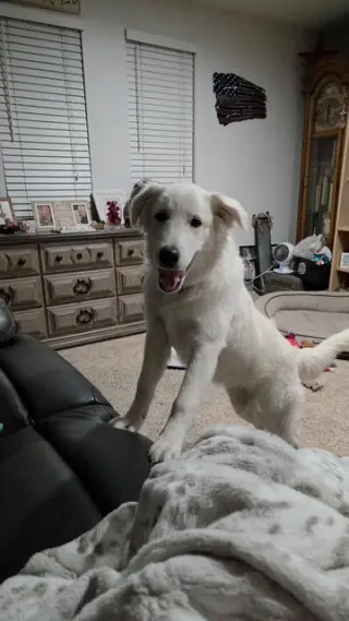 WIllow Mae